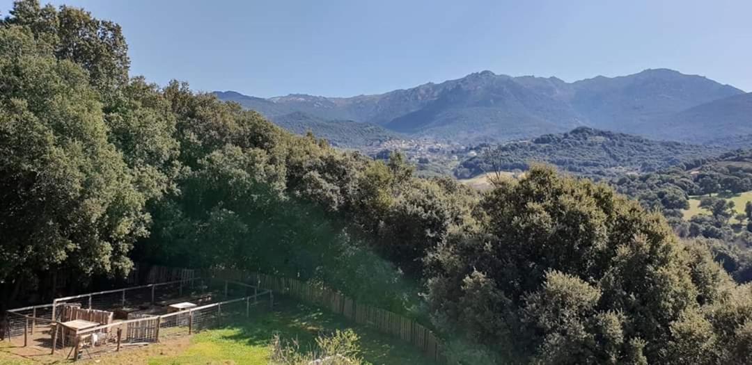 Gites San Austinu Petreto-Bicchisano Bagian luar foto