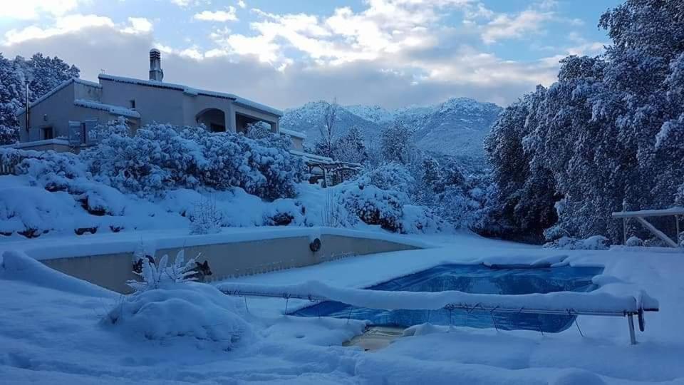 Gites San Austinu Petreto-Bicchisano Bagian luar foto