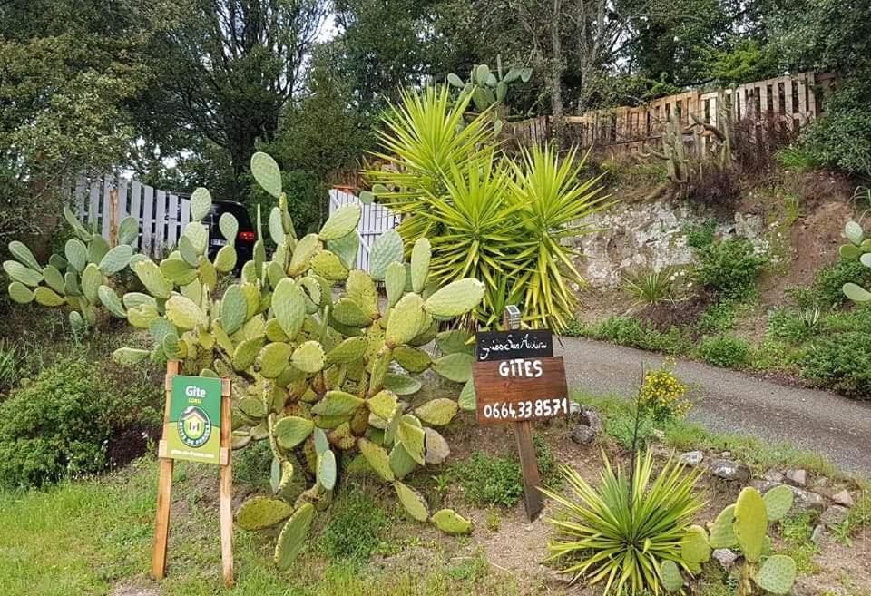 Gites San Austinu Petreto-Bicchisano Bagian luar foto