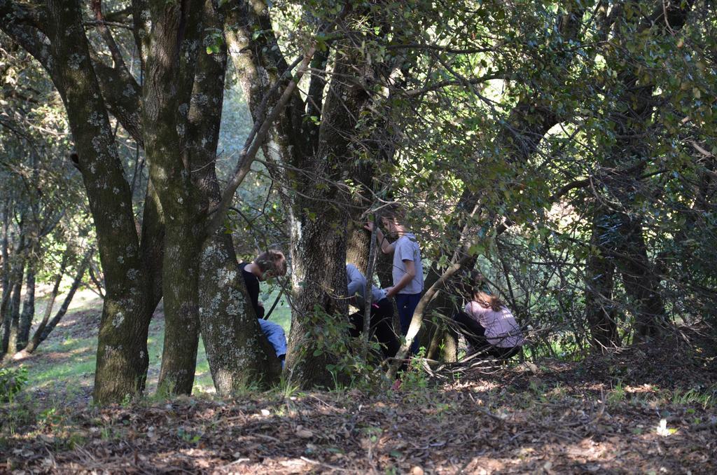 Gites San Austinu Petreto-Bicchisano Bagian luar foto